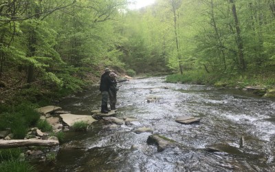 Run & Creek Fun with Julie!