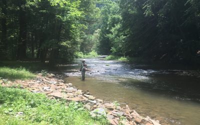 Disneyland with Andy