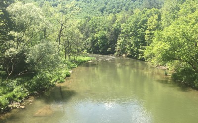 Lance & JD: Rivers, Bugs and Fishing