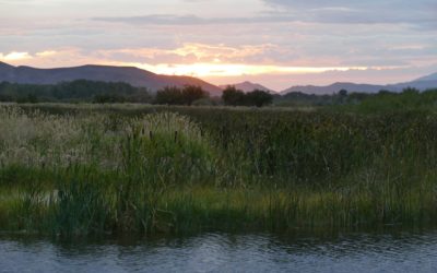 Silver Creek Schooling