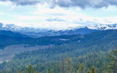 Yellowstone Spring