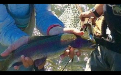 Matt in the Hat (Creek)