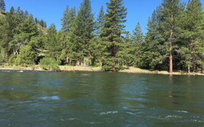 Gilligan’s Truckee