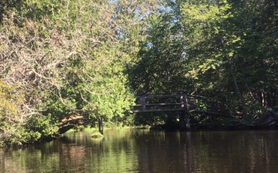 Canoeing the Brule