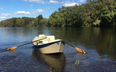 Mallard on the Kennebec