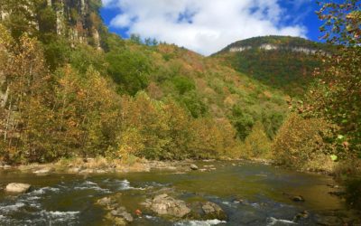 Creek Stompin’ in WV