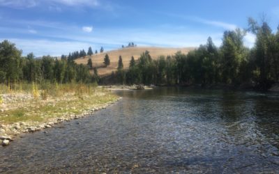 Conservation Leadership