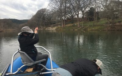 Guadalupe River Update