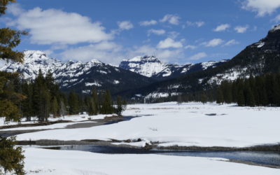 Yellowstone Spring 2018